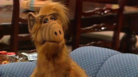 Watch ALF Season 1, Episode 13: Mother and Child Reunion | Peacock