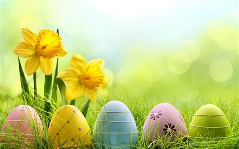 16 Easter Backgrounds for Zoom, Teams & Skype - Funny Meeting Backgrounds