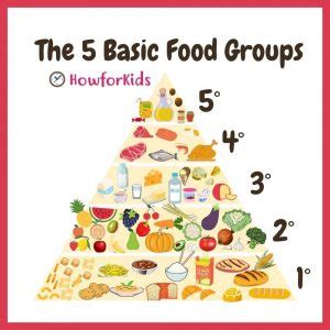 What are the Five Basic Food Groups? – HowForKids