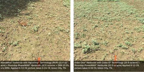 Using XtendiMax® herbicide with VaporGrip® Technology, a Restricted Use Pesticide, as a Burndown ...