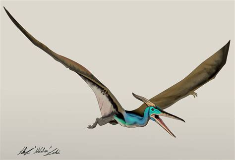 The Lost World Jurassic Park Pteranodon by NikoRex | Jurassic park, The lost world, Jurassic world