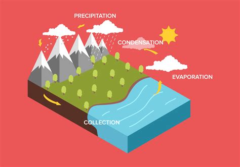 Water Cycle Diagram Free Vector Art - (6235 Free Downloads)