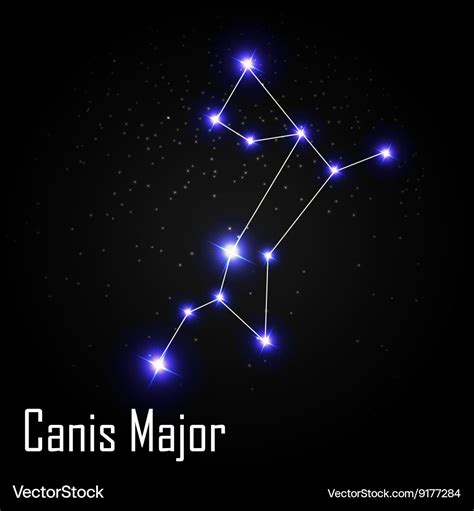 Canis major constellation with beautiful bright Vector Image