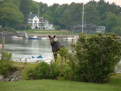 A Photo Tour of Beautiful York Harbor Maine | Dockside Guest Quarters