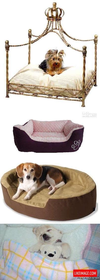 Puppy bed - 7 PHOTO! | Puppy beds, Puppies, Free wedding catalogs