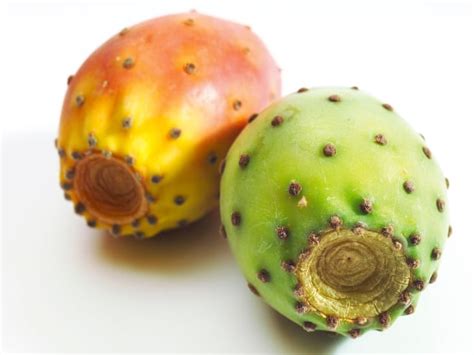 21 Proven Health Benefits of Cactus Fruits - CactusWay