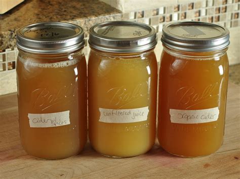 Fermented Apple Juice - Homemade Mommy