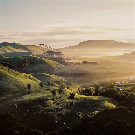 University of Waikato for International Students