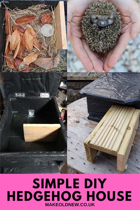 Give Hedgehogs a Home – Make a Simple DIY Hedgehog House | Hedgehog house, Diy hedgehog house ...