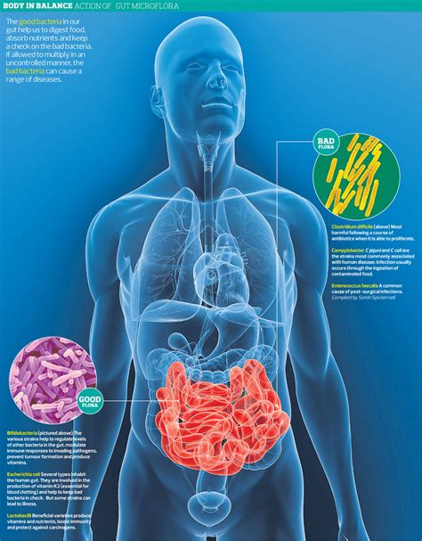 Crohn - Colitis Ulcerosa - Colon Irritable: Las Bacterias y la salud entrevista de radio el 25 ...