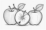 Premium AI Image  apple fruit coloring Page For kids sketch template