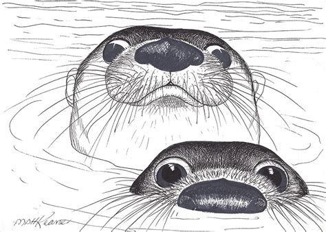 Sea Otters 2015 | Otter illustration, Otter art, Drawings