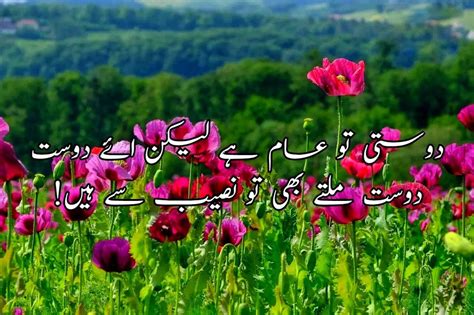 20+Friendship Poetry in Urdu - Poetry Addiction