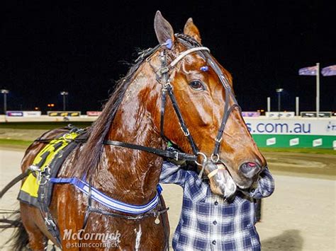 Ride High 'on track' for April comeback - Harness Racing Victoria