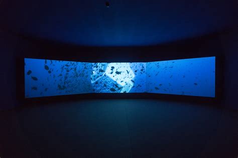 Doug Aitken - Underwater Pavilions - FAIRS - 303 Gallery