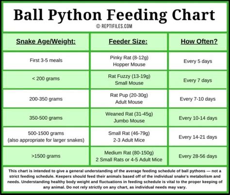 Ball Python Feeding Tips | ReptiFiles' Ball Python Care Guide