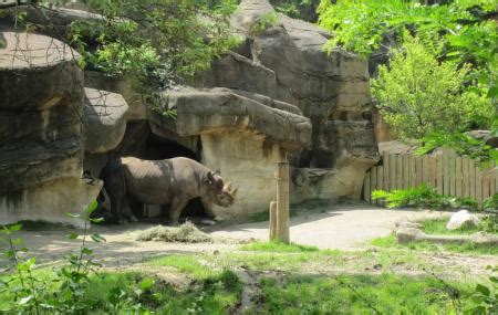 Cincinnati Zoo And Botanical Garden, Cincinnati | Ticket Price ...