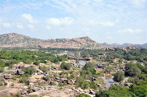 Sloth bear habitat on the Deccan Plateau. | Download Scientific Diagram