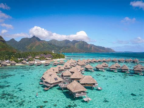 Hilton Moorea Lagoon Resort and Spa | The Hotel Collection | Amex Travel