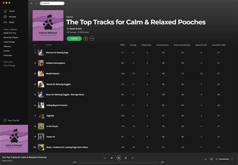 Calming Music for Dogs: Relaxed Pooch Playlist | Pooch & Mutt