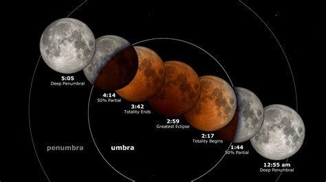 How to see the total lunar eclipse in the sky or online