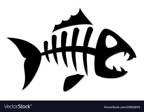 Skeleton of fish Royalty Free Vector Image - VectorStock