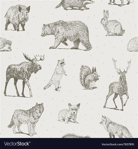 Animals drawings seamless pattern Royalty Free Vector Image