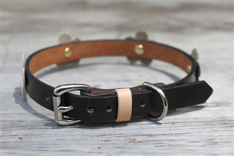 Leather Dog Collar With Flowers - Etsy