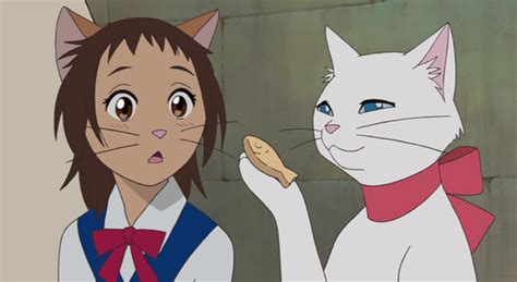 Here we go again!: Movie Review (29): The Cat Returns | Filmes de anime ...