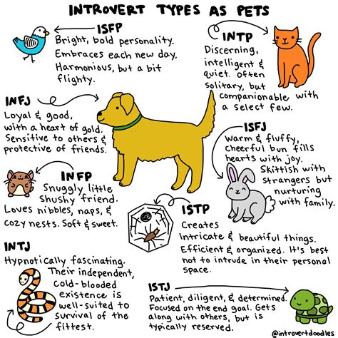 Introverts as pets | Introvert doodles | Infp personality type, Intp ...