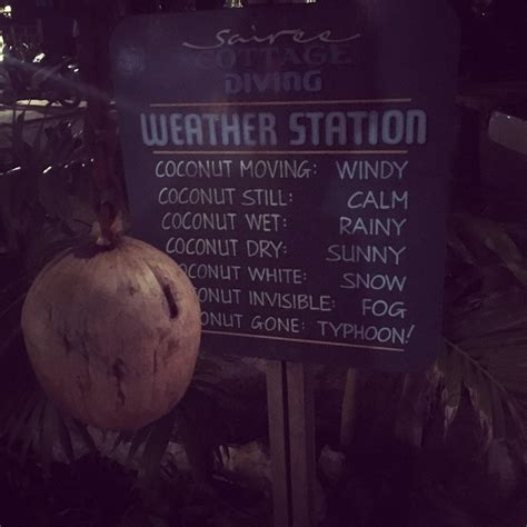 This place has a weather coconut : r/mildlyinteresting