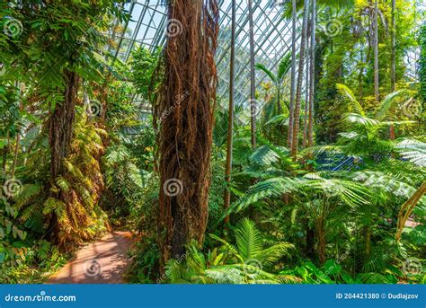 Bicentennial Conservatory at Botanic Garden in Adelaide, Australia ...