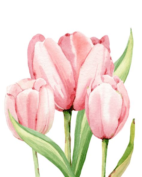 Watercolor Tulips Free Print | Refresh Restyle