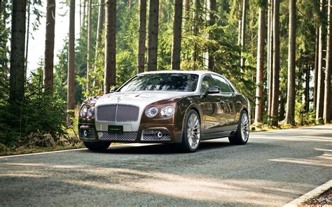 2014 Mansory Bentley Flying Spur Wallpaper | HD Car Wallpapers | ID #4270