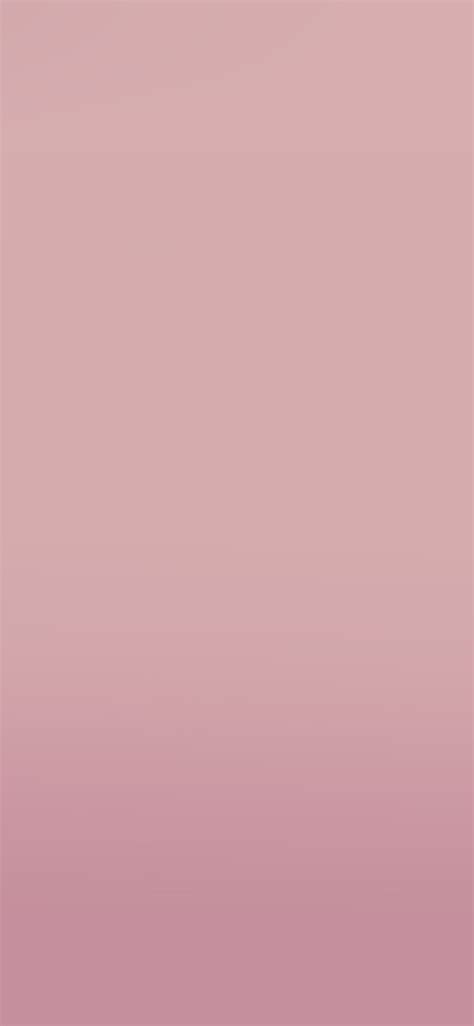 Baby Pink Ombre Background - 1125x2436 Wallpaper - teahub.io