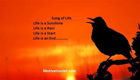 Song of Life-Short and Inspirational poem about Life - MotivationJet