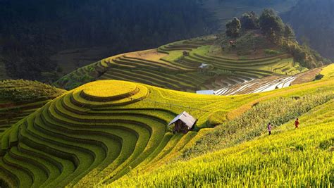 Mu Cang Chai Rice Terraces in Vietnam - Placeaholic