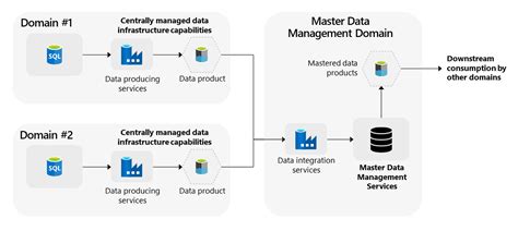 Master Data Management in Data Mesh | by Piethein Strengholt | Towards ...