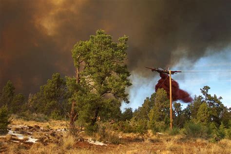 The Long Mesa Fire of 2002 | Denver Public Library Special Collections ...