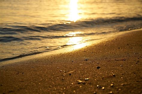 Free Photo | Sandy beach at sunset