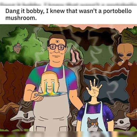 Dang it Bobby - Meme Guy