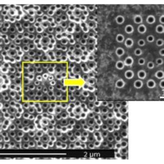 SEM image of quasicrystal structure. | Download Scientific Diagram