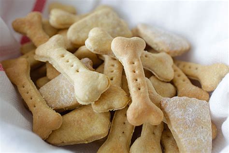 DIY: Your Dog Will Go Nuts For These Homemade Peanut Butter Oat Dog Treats!