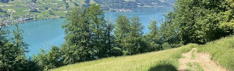 Walensee Circular route via Oberterzen, St. Gallen, Switzerland - Map, Guide | AllTrails