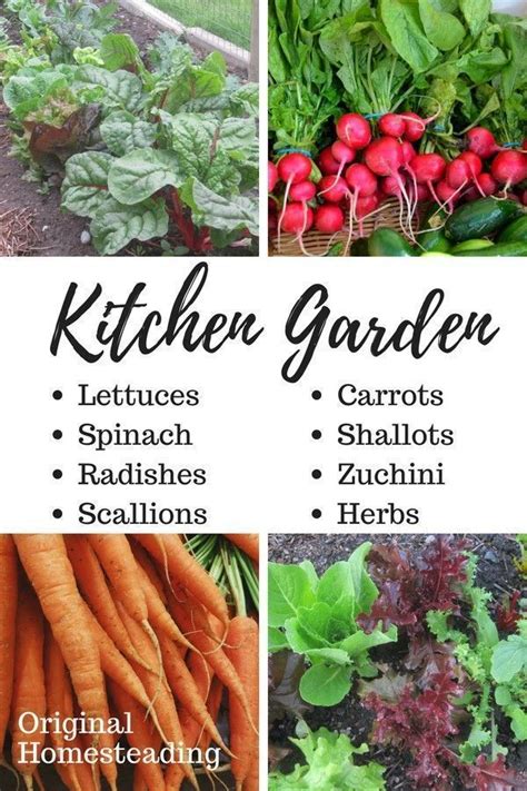 How to Plant a Kitchen Garden | Growing vegetables, Organic gardening tips, Home vegetable garden