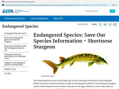 Epa: Endangered Species: Save Our Species Information Shortnose ...