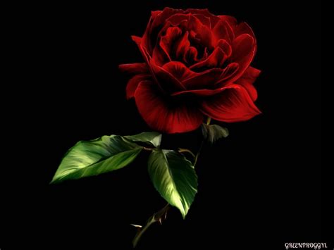 Red Roses Art Wallpapers - Top Free Red Roses Art Backgrounds ...