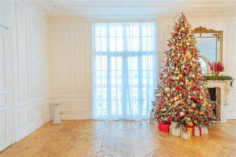 Christmas Tree Room Stock Photos, Images and Backgrounds for Free Download