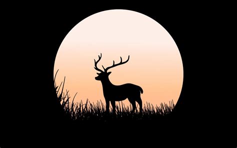 Deer silhouette on full moon 8074233 Vector Art at Vecteezy