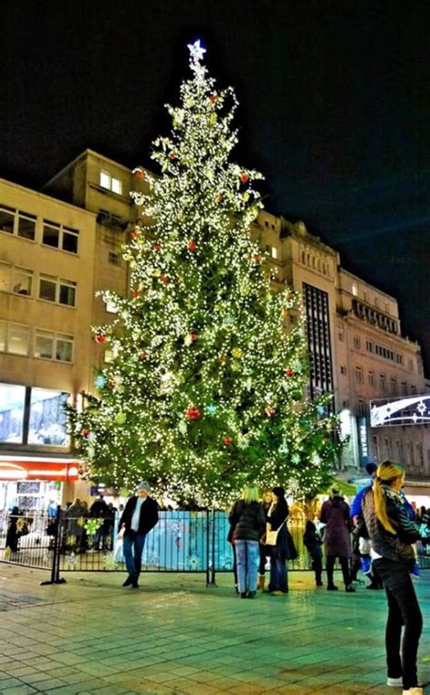 My City of Liverpool England, Christmas Tree in the City Center | Holiday christmas tree ...